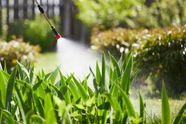 24/7 Emergency Mosquito Control experts in Plainwell, MI