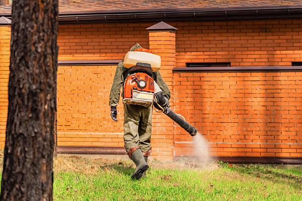Top rated local Mosquito Control specialists in Plainwell, MI